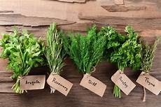 Organic Kitchen Towel