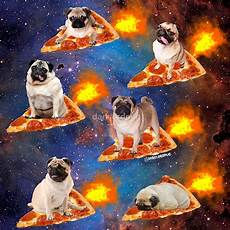 Pug Beach Towel
