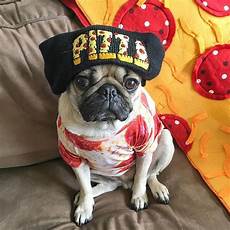 Pug Beach Towel