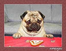 Pug Beach Towel