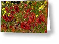 Seed Beach Towel