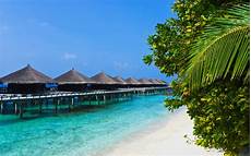 Tropical Beach Towel